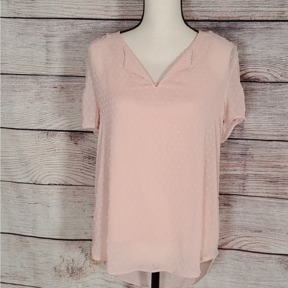DR2 Daniel Rainn Blush Blouse over cami -Small